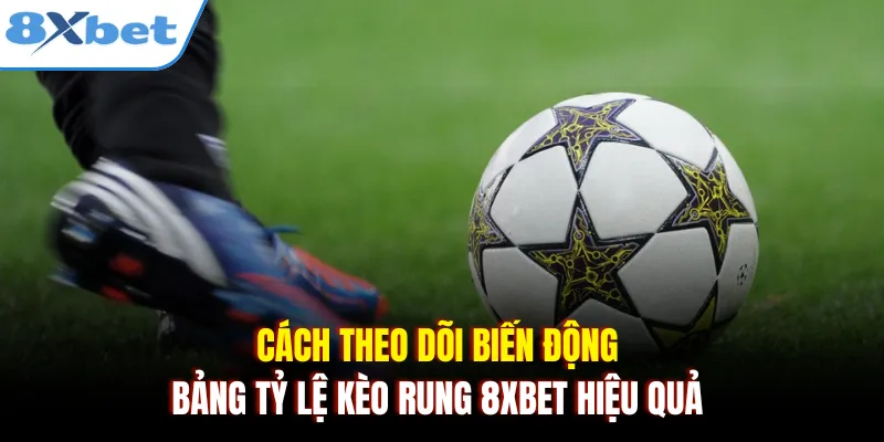 Cách theo dõi biến động bảng tỷ lệ kèo rung 8xbet hiệu quả