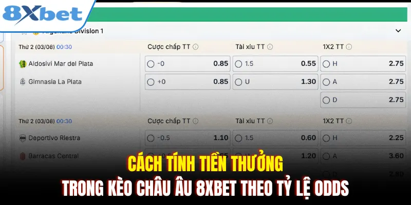 Cách tính tiền thưởng trong kèo châu Âu 8xbet theo tỷ lệ Odds