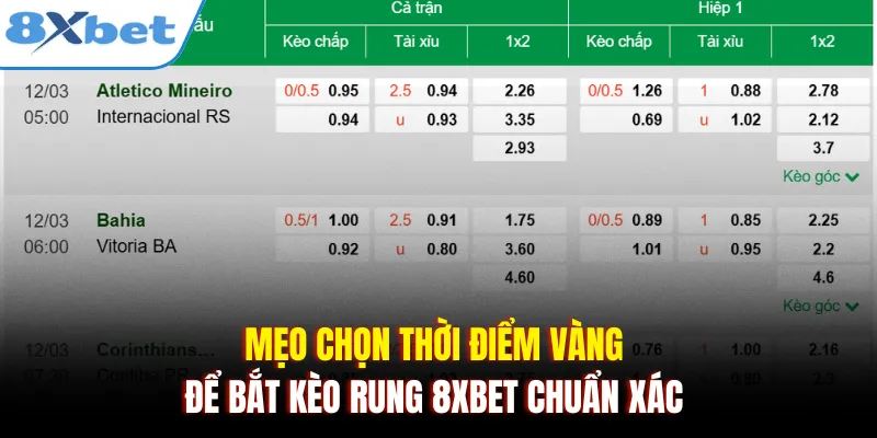 Mẹo chọn thời điểm vàng để bắt kèo rung 8xbet chuẩn xác